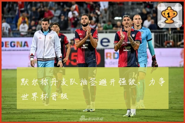 默尔称丹麦队抽签避开强敌，力争世界杯晋级