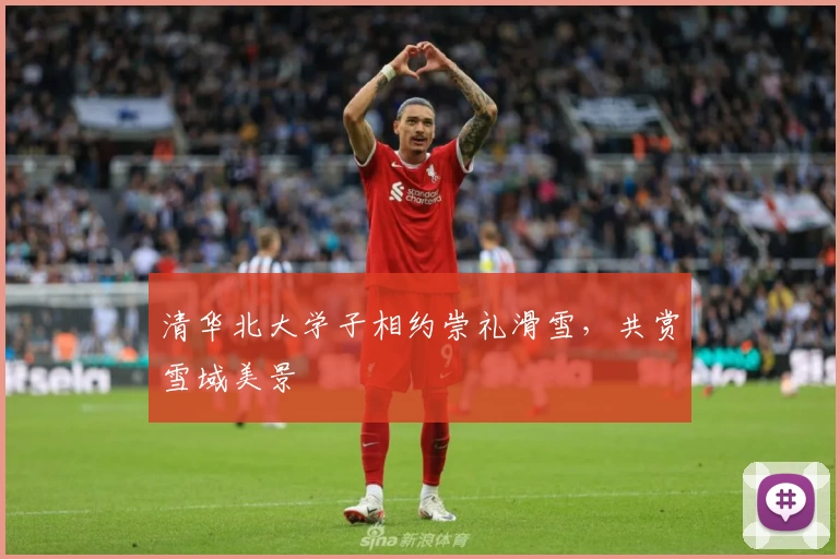 清华北大学子相约崇礼滑雪，共赏雪域美景