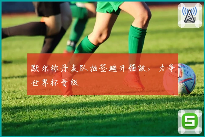 默尔称丹麦队抽签避开强敌，力争世界杯晋级